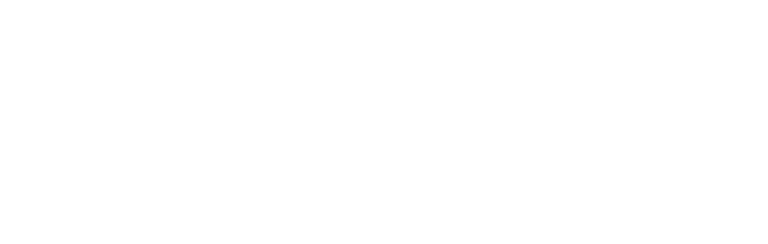 Resilience Engineering Association